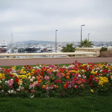 Carré D'or Rue D'antibes à Quelques Pas Du Palais Des Festivals Apartamento *