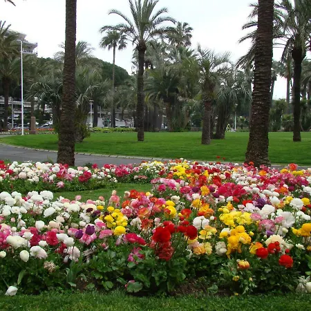 Apartamento Carré D'or Rue D'antibes à Quelques Pas Du Palais Des Festivals *